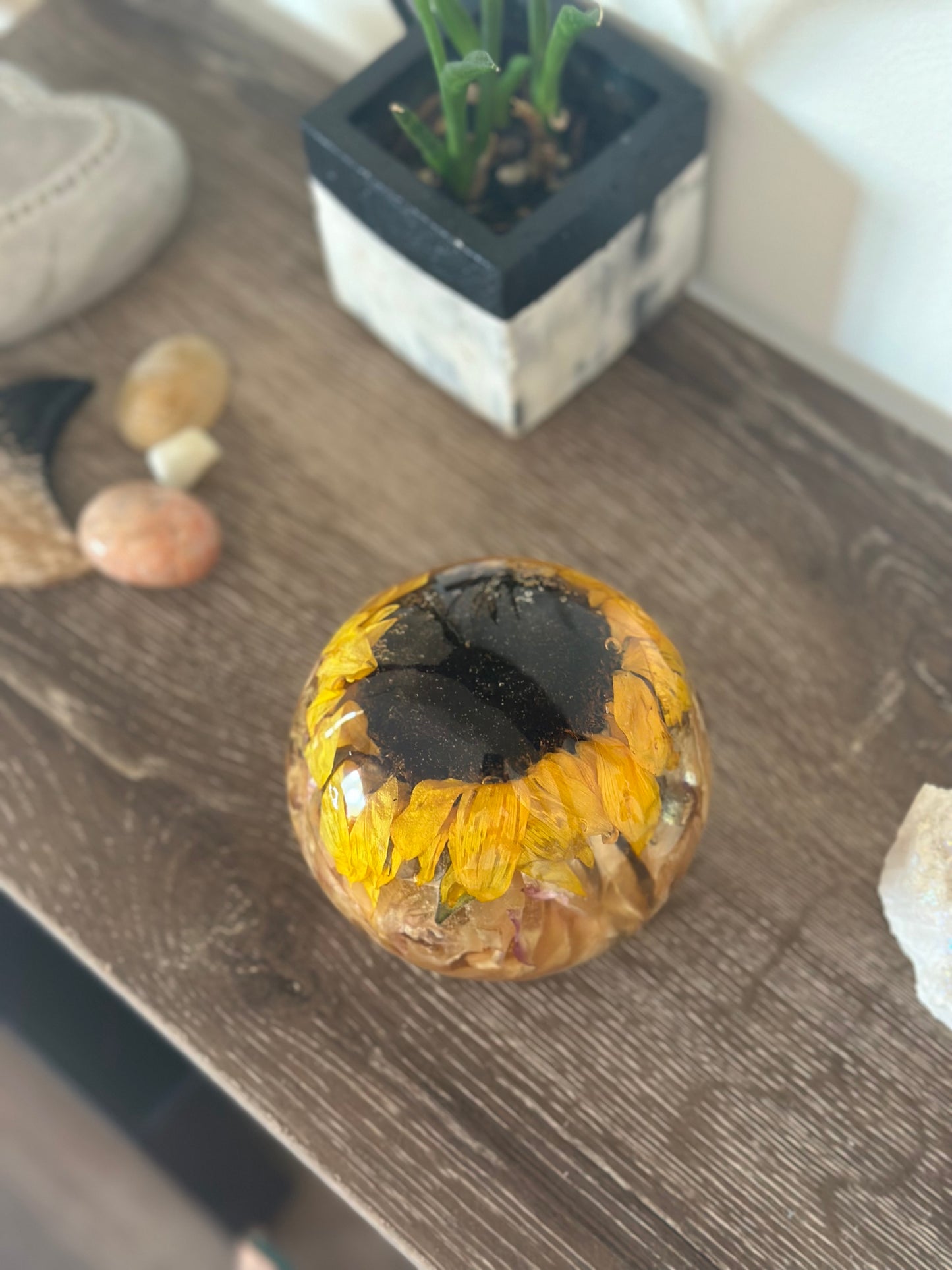 Sphere Large Paper Weight Flower Preservation