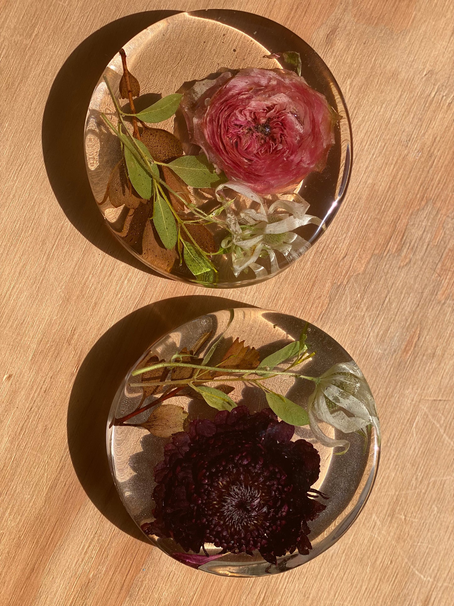 Round Coaster Flower Preservations