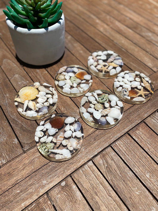Round Shell Coasters - PRE ORDER