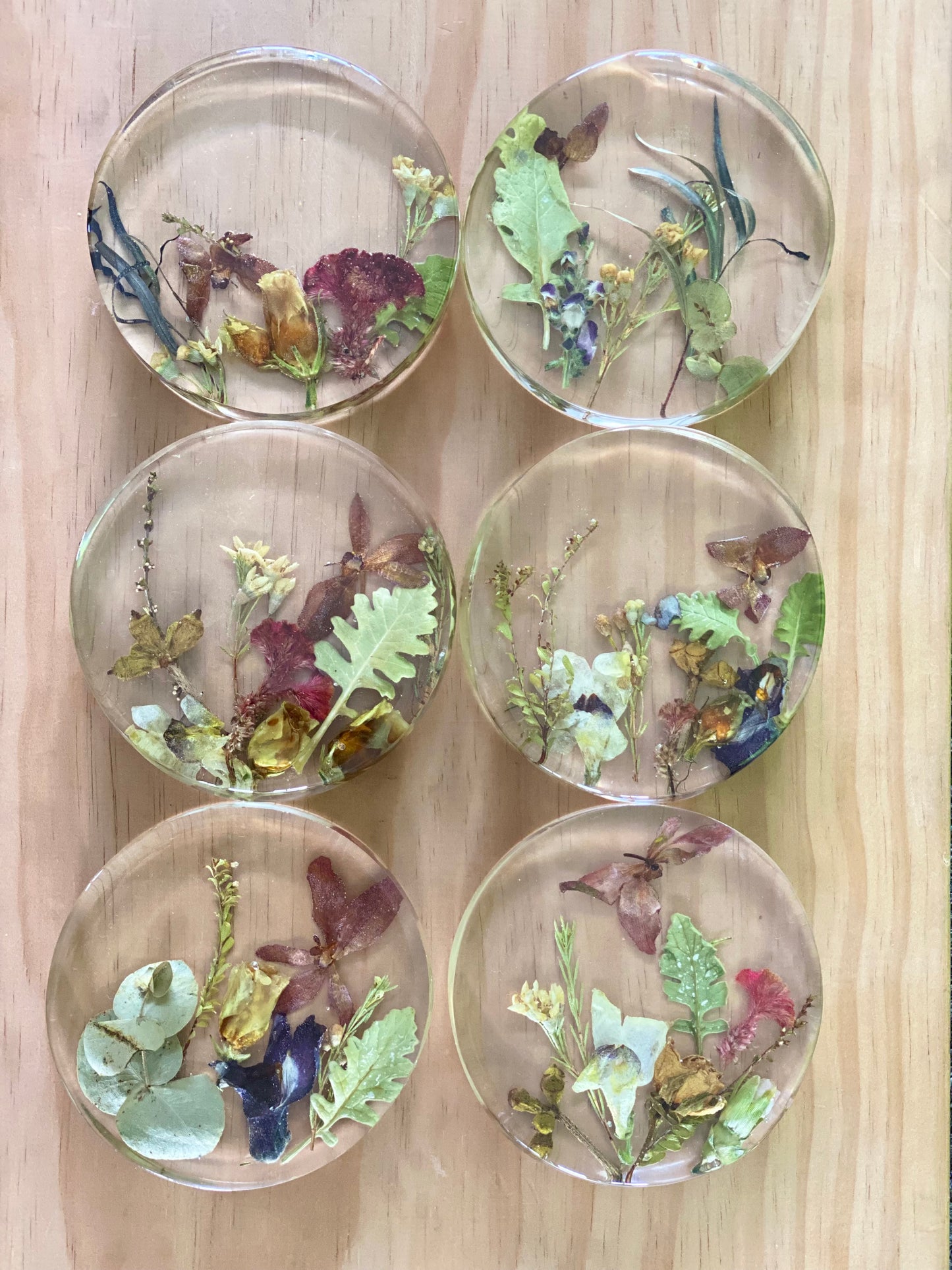 Round Coaster Flower Preservations