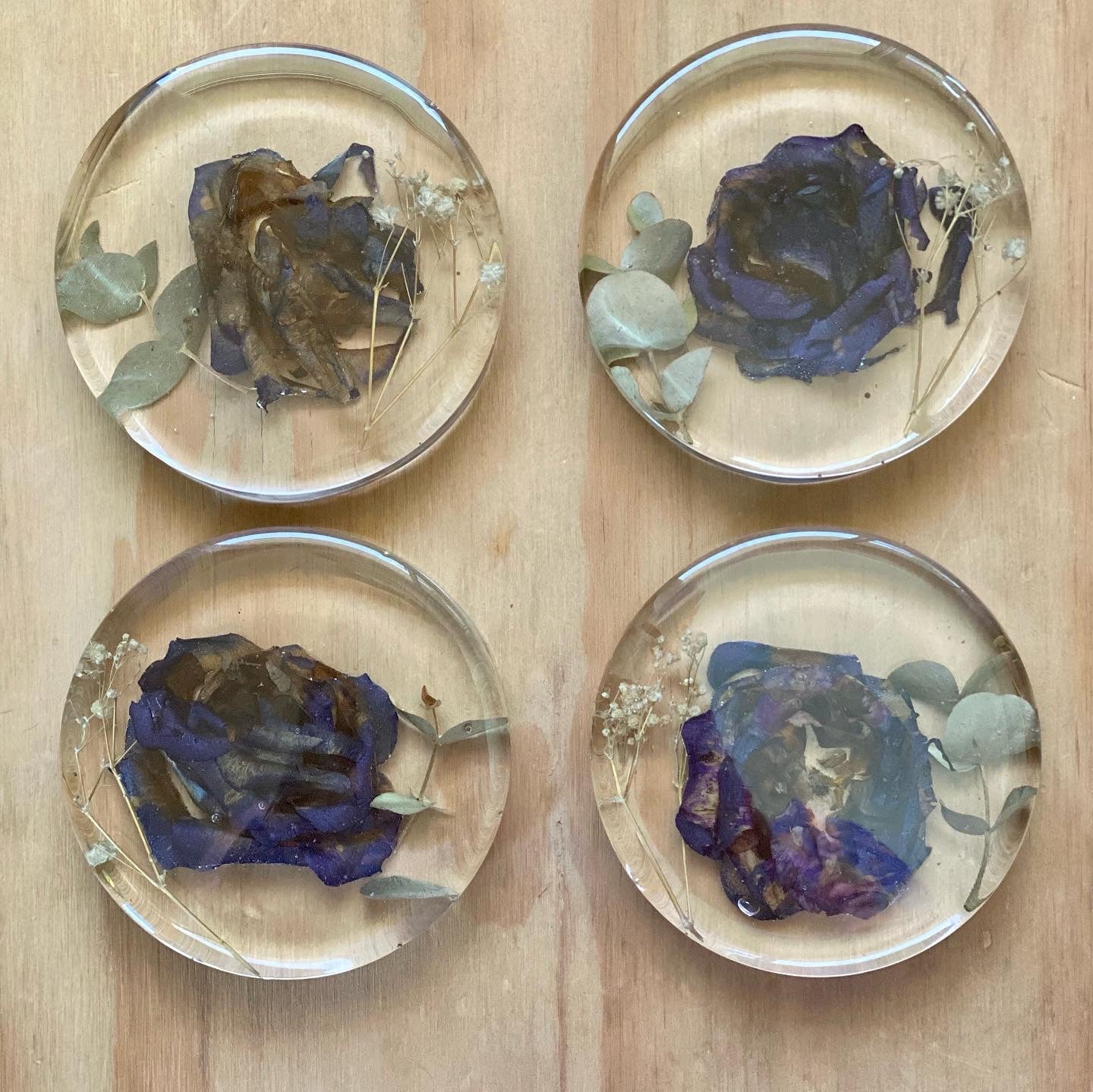 Round Coaster Flower Preservations