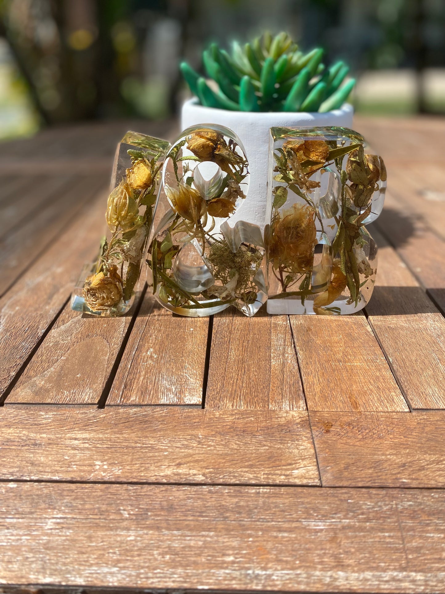 Letter Flower Preservations
