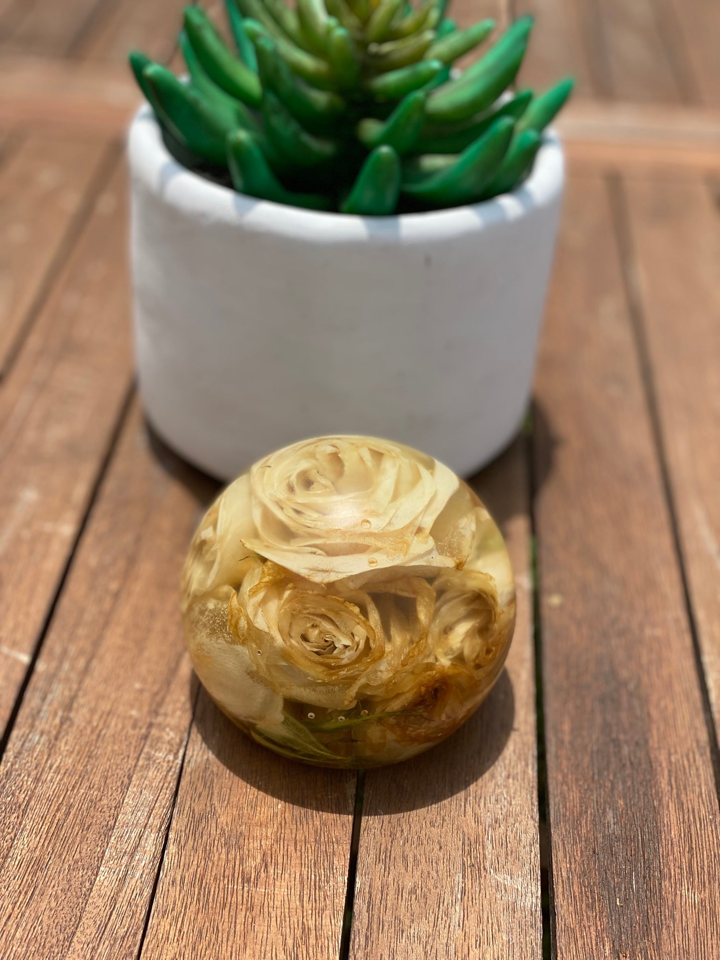 Sphere Large Paper Weight Flower Preservation