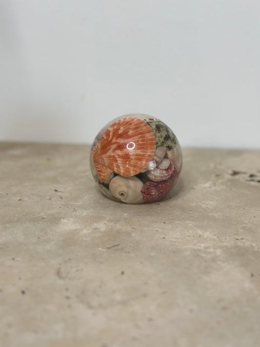 Sphere Small Paper Weight Flower Preservation