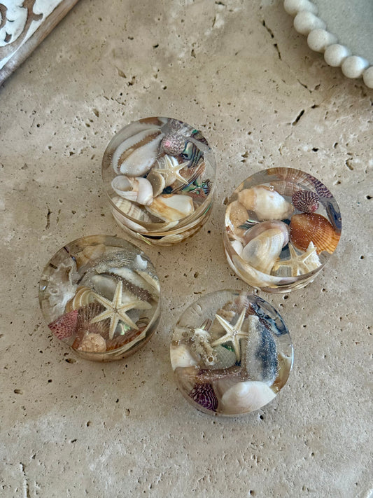 Set of Four Magnet Flower Preservations